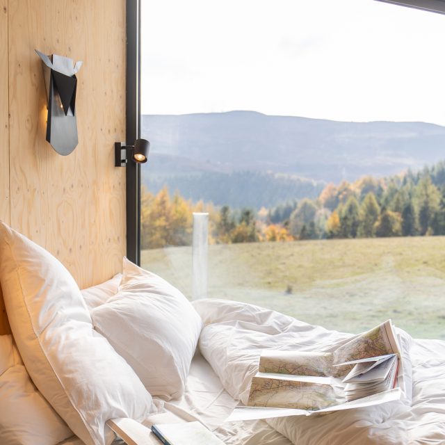 Sooty Cabin